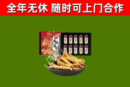 万宁市烟酒回收冬虫夏草礼盒.jpg