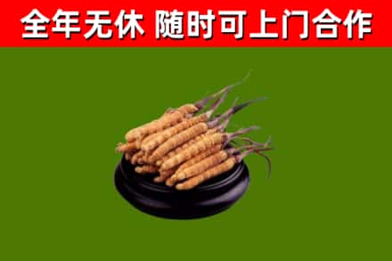 万宁市烟酒回收冬虫夏草.jpg